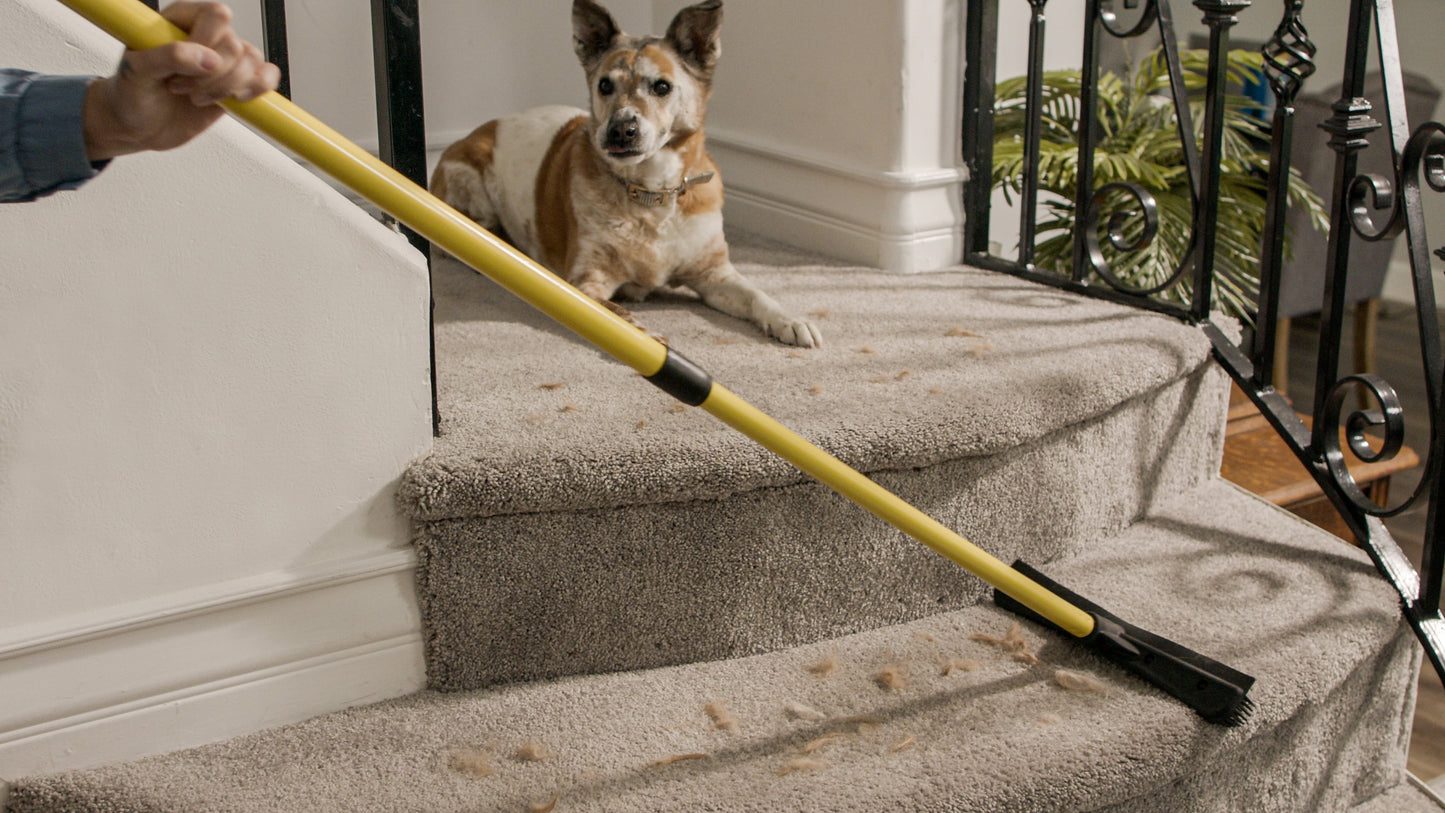 Broom Pet Hair Remover